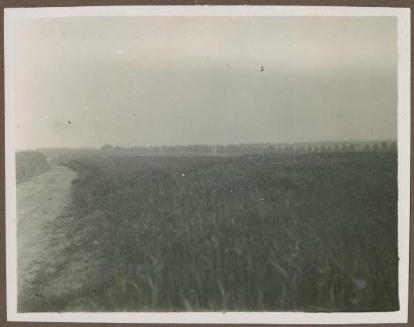 Belgio - Waterloo - Campo di battaglia - Strada