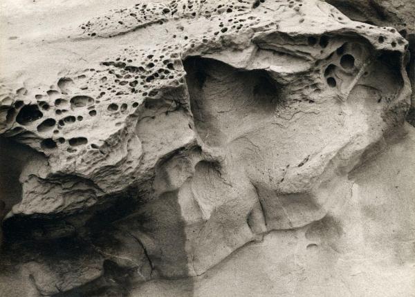 Bordighera (IM) - Scogliera - Rocce calcaree, dettaglio