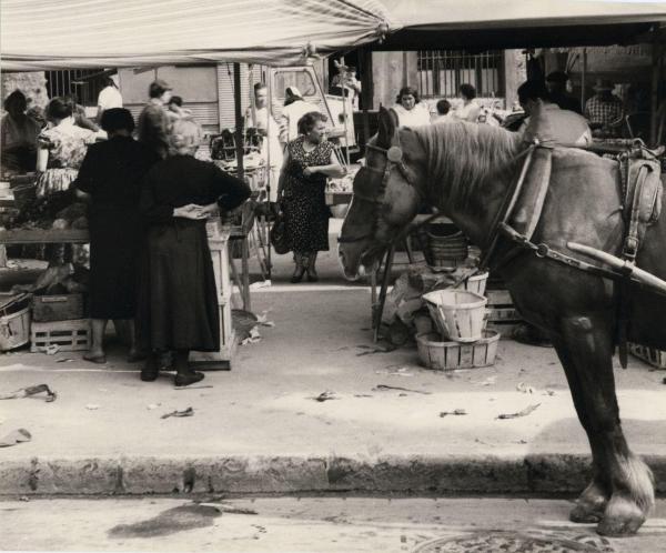 Francia - Aix en-Provence - Mercato - Banchi dei venditori ambulanti - Cavallo - Donne