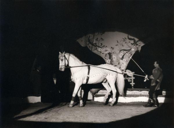 Milano - Circo Palmiri - Spettacolo, esibizione - Domatore con cavallo in scena