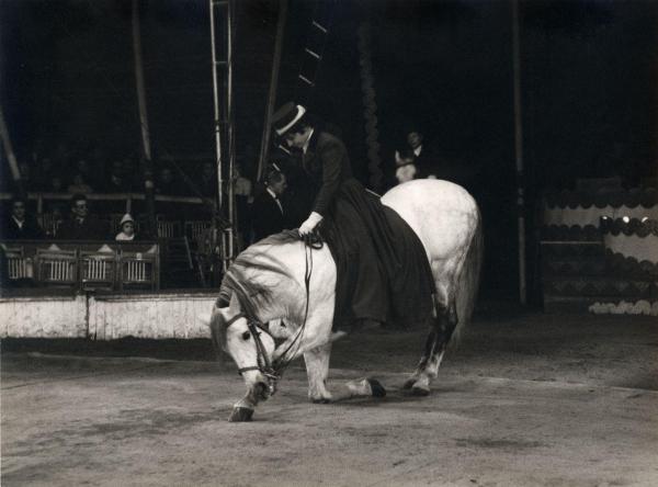 Milano - Circo Togni - Spettacolo, esibizione - Domatrice in scena in sella al cavallo, inchino - Pubblico di spettatori sullo sfondo