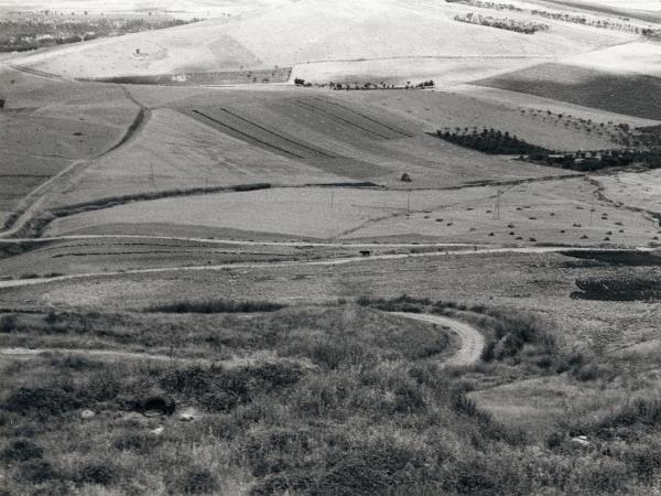 Troia (FG) - Pianura - Panorama