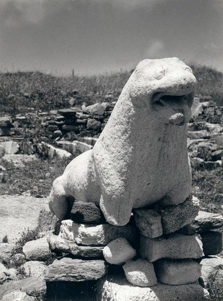 Sito archeologico - Grecia - Delo - Terrazza dei leoni - Scultura - Leone