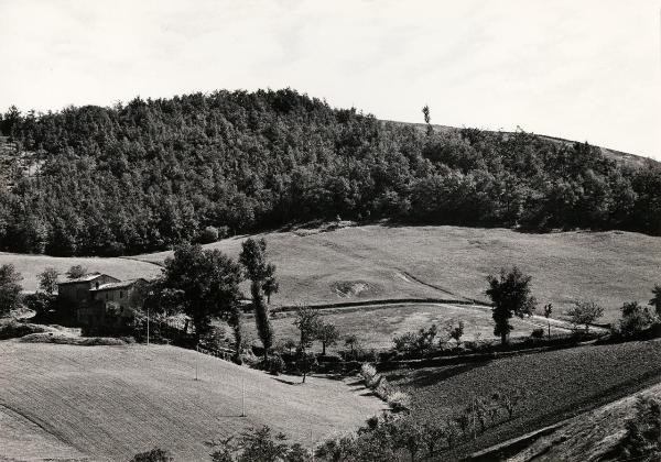 Paesaggio naturale - abitazione