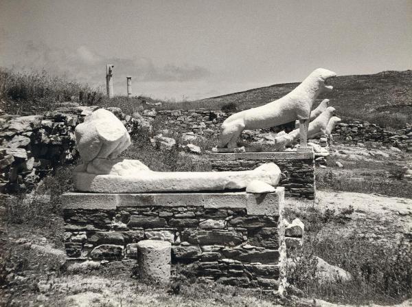 Sito archeologico - Grecia - Delo - Terrazza dei leoni - Sculture: Leoni - Rovine