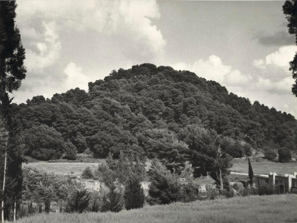 Sito archeologico - Grecia - Olimpia - Monte Cronion - Rovine - Montagna - Vegetazione