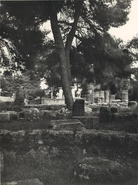 Sito archeologico - Grecia - Olimpia - Heraion (Tempio di Era) - Rovine - Colonne - Vegetazione - Alberi