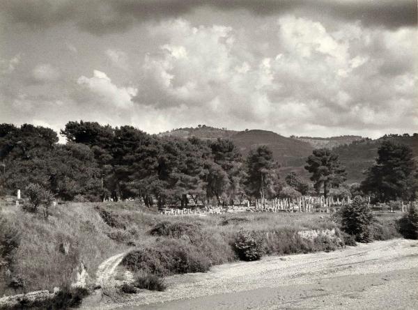 Sito archeologico - Grecia - Olimpia - Rovine - Fiume Alfeo - Montagna - Vegetazione