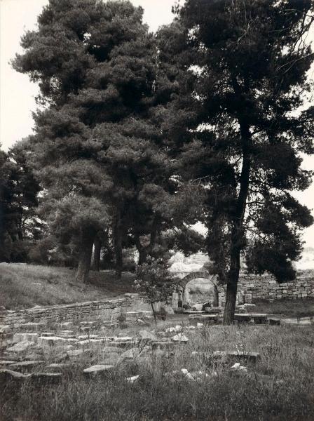 Sito archeologico - Grecia - Olimpia - Ingresso allo stadio - Arco - Rovine - Vegetazione - Alberi