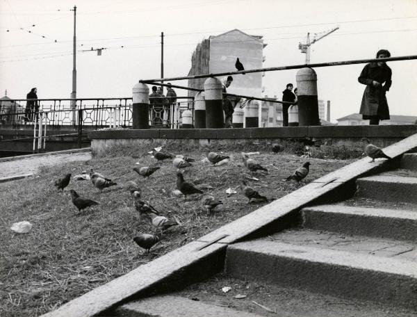 Milano - Veduta urbana animata - Navigli - piccioni