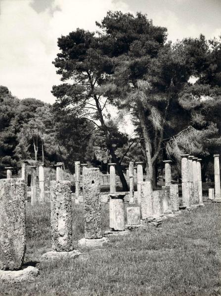 Sito archeologico - Grecia - Olimpia - Colonne - Rovine - Vegetazione - Alberi