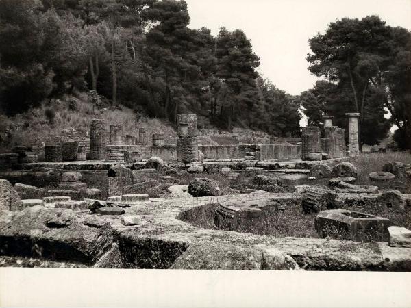 Sito archeologico - Grecia - Olimpia - Heraion (Tempio di Era) - Rovine - Colonne - Vegetazione - Alberi