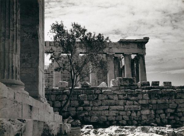 Sito archeologico - Grecia - Atene - Acropoli - Partenone