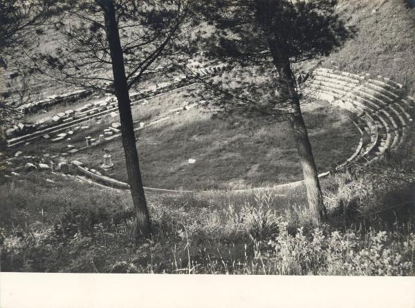 Sito archeologico - Grecia - Megalopolis - Teatro - Cavea, orchestra, scale - Gradinate - Alberi