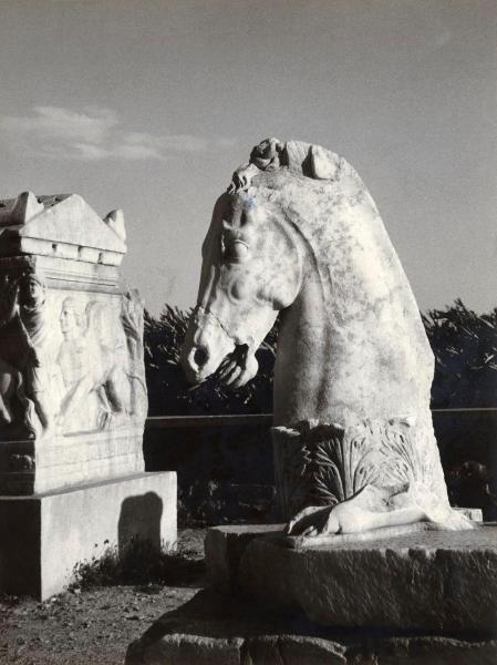 Grecia - Eleusi - Museo archeologico - Esterno - Terrazza - Sculture - Cavallo, testa