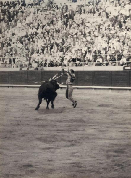 Spagna - Barcellona - Monumental de Barcellona, arena - Corrida - Tercio de banderillas - Torero - Toro con banderillas - Spettatori