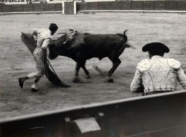 Spagna - Barcellona - Monumental de Barcellona, arena - Corrida - Tercio de muleta - Torero con muleta - Toro con banderillas - Banderillero di spalle