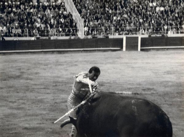 Spagna - Barcellona - Monumental de Barcellona, arena - Corrida - Tercio de muleta - Torero con spada - Toro con banderillas e spada - Spettatori sullo sfondo