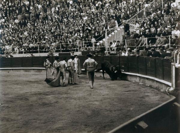 Spagna - Barcellona - Monumental de Barcellona, arena - Corrida - Tercio de muleta - Torero con banderilleros - Toro morente - Spettatori sullo sfondo