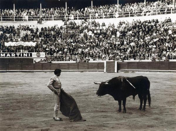 Spagna - Barcellona - Monumental de Barcellona, arena - Corrida - Tercio de muleta - Torero con muleta e spada - Toro con banderillas - Spettatori sullo sfondo