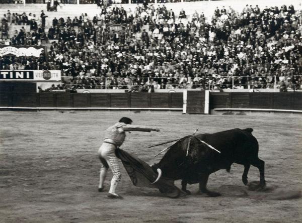 Spagna - Barcellona - Monumental de Barcellona, arena - Corrida - Tercio de muleta - Torero con muleta e spada - Toro con banderillas - Spettatori sullo sfondo