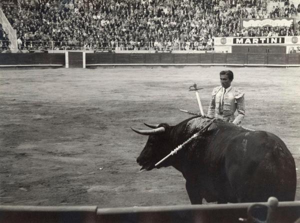 Spagna - Barcellona - Monumental de Barcellona, arena - Corrida - Tercio de muleta - Torero - Toro morente con banderillas e spada - Spettatori sullo sfondo