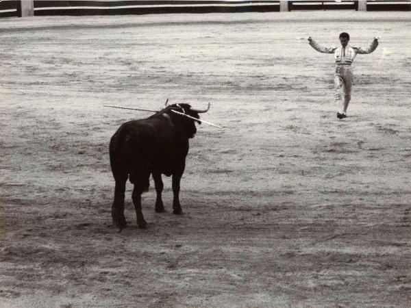 Spagna - Madrid - Las Ventas, arena - Corrida - Tercio de muleta - Torero con spade - Toro con banderillas