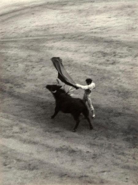 Spagna - Madrid - Las Ventas, arena - Corrida - Tercio de muleta - Torero con muleta - Toro con banderillas