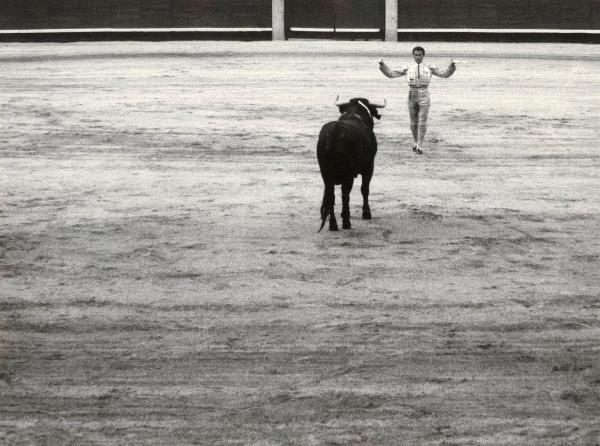 Spagna - Madrid - Las Ventas, arena - Corrida - Tercio de muleta - Torero con spade - Toro con banderillas