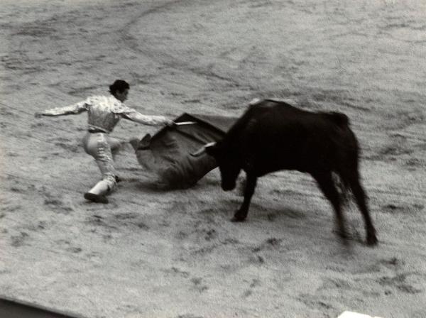 Spagna - Madrid - Las Ventas, arena - Corrida - Tercio de muleta - Torero con muleta e spada - Toro