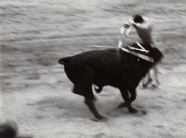 Spagna - Madrid - Las Ventas, arena - Corrida - Tercio de banderillas - Torero con banderillas - Toro con banderillas