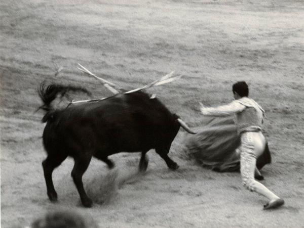 Spagna - Madrid - Las Ventas, arena - Corrida - Torero con mantello - Toro con banderillas