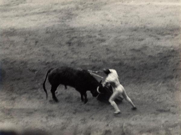 Spagna - Madrid - Las Ventas, arena - Corrida - Tercio de muleta - Torero con muleta e spada - Toro con banderillas