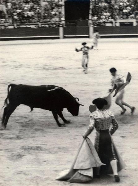 Spagna - Madrid - Las Ventas, arena - Corrida - Tercio de banderillas - Banderilleros - Torero - Toro con banderillas