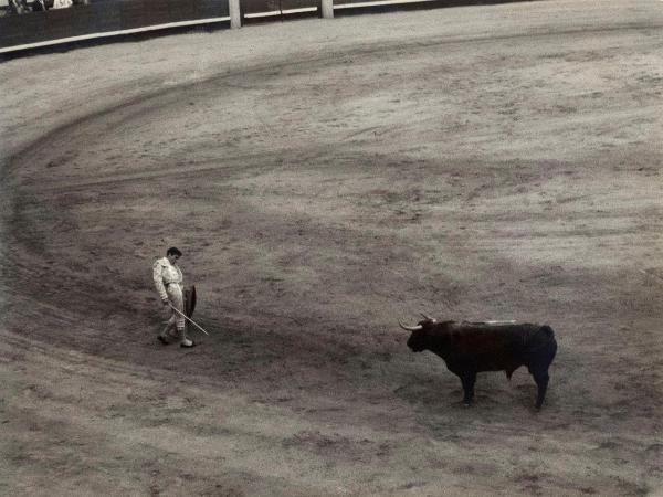 Spagna - Madrid - Las Ventas, arena - Corrida - Tercio de muleta - Torero con muleta e spada - Toro con banderillas