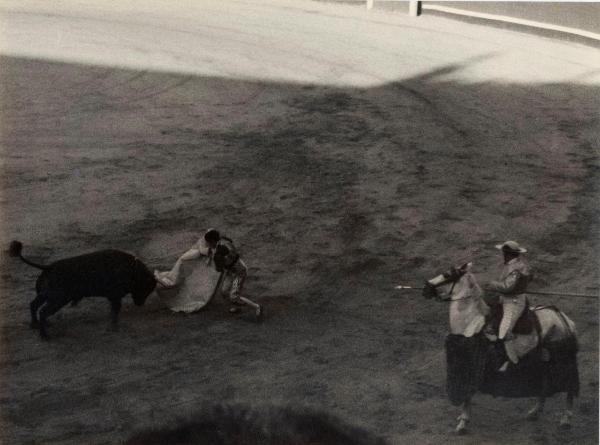 Spagna - Barcellona - Monumental de Barcellona, arena - Corrida - Tercio de varas - Torero con cappa - Toro - Picador a cavallo con picca