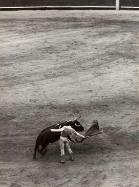 Spagna - Madrid - Las Ventas, arena - Corrida - Tercio de muleta - Torero con muleta - Toro con banderillas