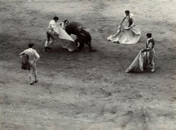 Spagna - Madrid - Las Ventas, arena - Corrida - Tercio del muleta - Banderilleros - Torero con muleta - Toro con banderillas