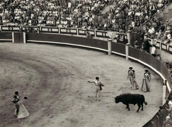 Spagna - Madrid - Las Ventas, arena - Corrida - Tercio de muleta - Torero con muleta - Banderilleros - Toro morente con banderillas e spada