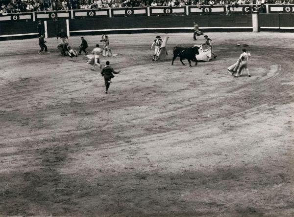 Spagna - Madrid - Las Ventas, arena - Corrida - Torero a terra - Banderilleros - Uomini in corsa - Toro con banderillas