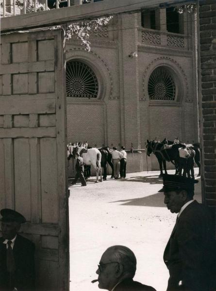 Spagna - Madrid - Las Ventas, arena - Interno - Cavalli da picar (caballos de picar) - Uomini: guardiani - Corrida