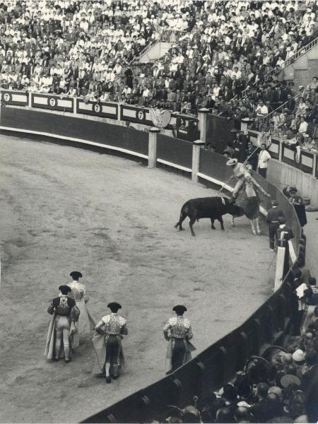 Spagna - Madrid - Las Ventas, arena - Corrida - Tercio de varas - Picador a cavallo con picca - Toro - Toreri