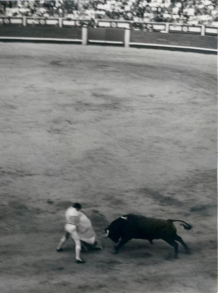 Spagna - Madrid - Las Ventas, arena - Corrida - Torero con cappa - Toro