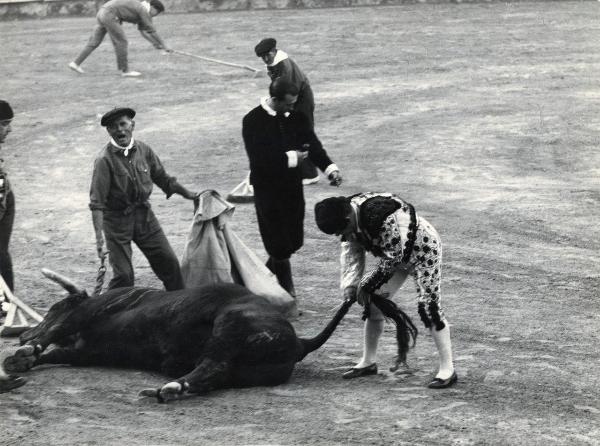 Spagna - Madrid - Las Ventas, arena - Corrida - Tercio de muleta - Toro morto a terra - Torero - Uomini - Taglio della coda