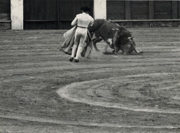 Spagna - Madrid - Las Ventas, arena - Corrida - Torero con cappa - Toro morente con banderillas