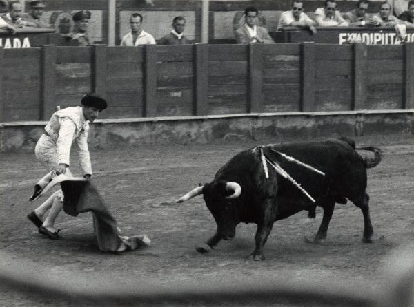 Spagna - Madrid - Las Ventas, arena - Corrida - Tercio de muleta - Torero con muleta - Toro con banderillas