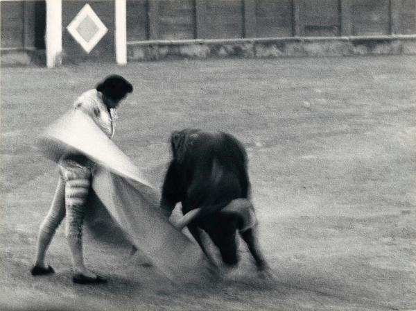 Spagna - Madrid - Las Ventas, arena - Corrida - Torero con cappa - Toro