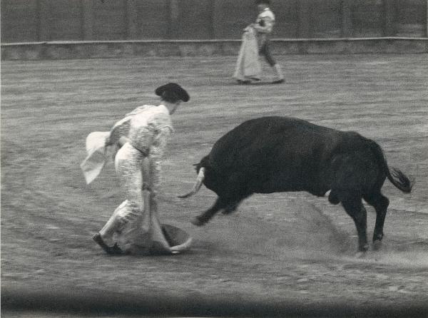 Spagna - Madrid - Las Ventas, arena - Corrida - Torero con cappa - Toro