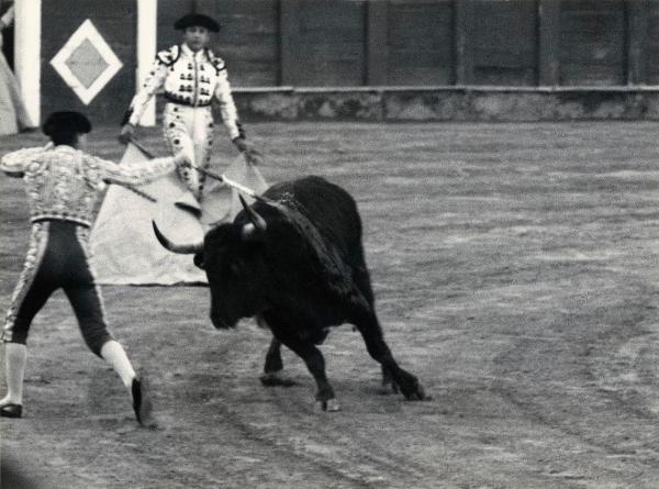 Spagna - Madrid - Las Ventas, arena - Corrida - Tercio de banderillas - Banderillero con banderilla - Toro - Torero con cappa