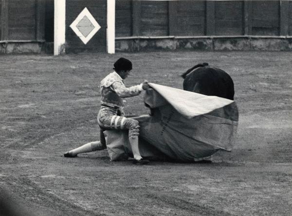 Spagna - Madrid - Las Ventas, arena - Corrida - Torero inginocchiato con cappa - Toro